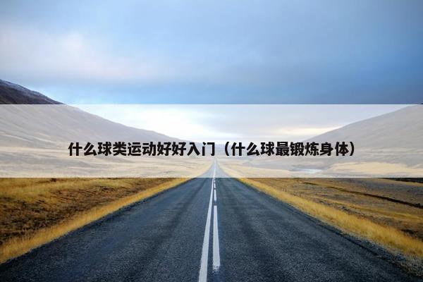 什么球类运动好好入门（什么球最锻炼身体）