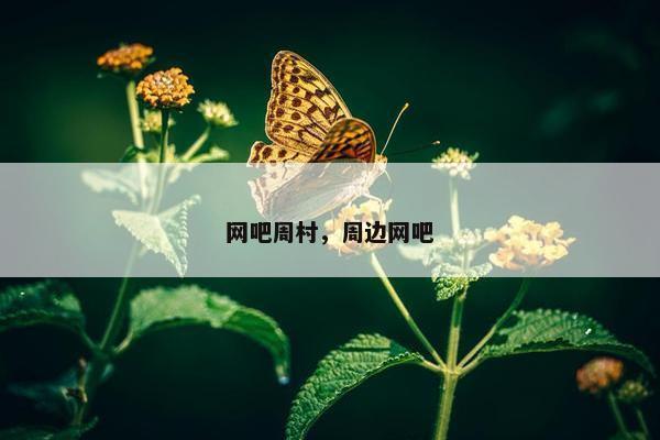 网吧周村，周边网吧