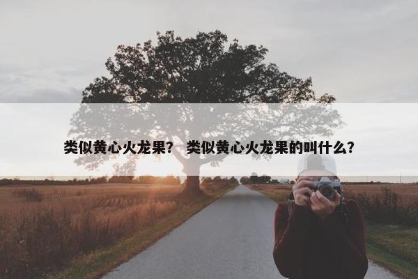 类似黄心火龙果？ 类似黄心火龙果的叫什么？